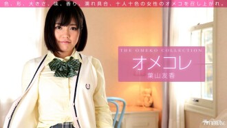 Omekore 貓集合 Tomoka Hayama
