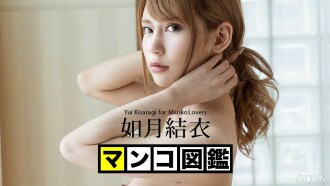 Pussy-Bilderbuch Yui Kisaragi Yui Kisaragi
