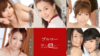 Bloomer Anthology Tsubasa Miyashita Shizuku Hatano Mirei Yokoyama Airi Mizusawa Sanae Akino Kaede Aoshima
