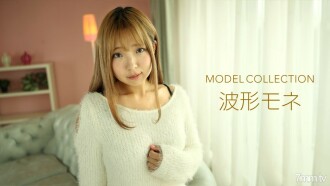模型集合波形莫奈