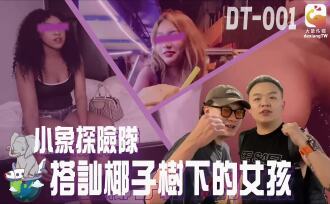 Đội thám hiểm chú voi nhỏ của Elephant Media trò chuyện với một cô gái dưới gốc dừa