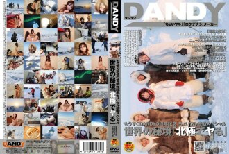 Commémoration du 5ème anniversaire de DANDY !
