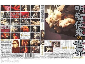 아케치 전귀의 세계 Collection6 추박의 쾌락