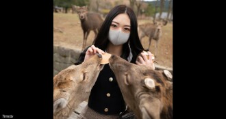 【신 시네마 화풍】 개수 한정! 【무수정】청초미녀의 음란성 버릇이 드디어 각성된다・・・ 몇번이나 절정을 느끼고 몸부림치는 민감체에 2회 질 내 사정! ! 이 정도까지 조수가 흐트러지는 것은・・・(장편)
