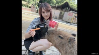 The first round of success! ! Limited time 3 days! ! Cute and simple Moe girl ◯ University student in the depths of the forest, ejaculation in the mouth! ! In addition, there was a closed room, and the immature body was shot in the next time because of the pleasure! ! 