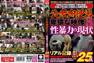 公共厕所：淫秽视频，性暴力现状，第三部分，25人