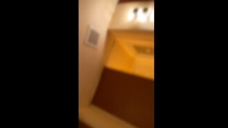 篠原葉月的真實故事：錦糸町派遣型男伴遊服務的臥底調查報告