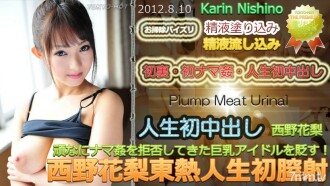 Nishino Karin TOKYO HOT Life's First Creampie