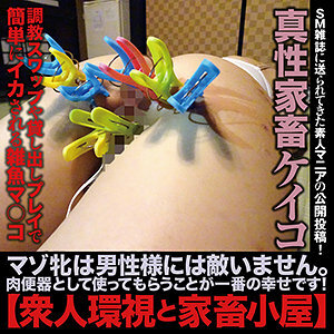 惠子 8