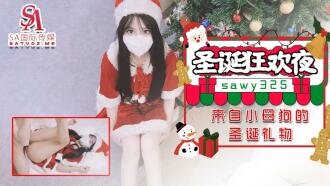 クリスマスカーニバルの夜に小さな雌犬からのクリスマスプレゼント