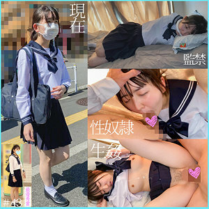 S43醬