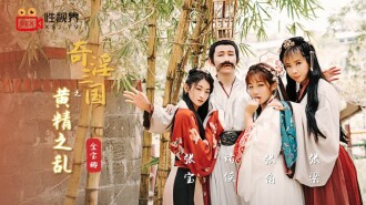 奇淫三國之黃精之亂